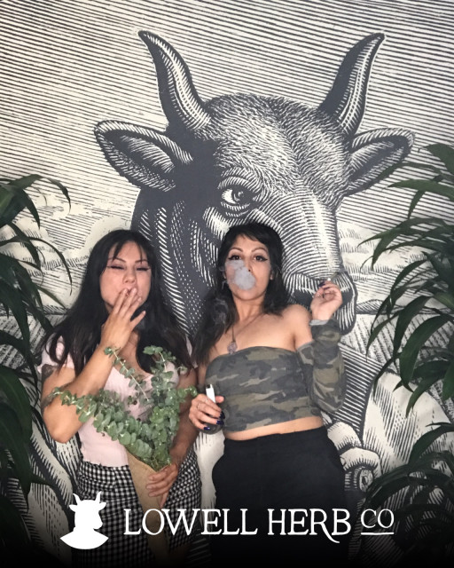 LOWELL HERB CO. – SAN FRANCISCO