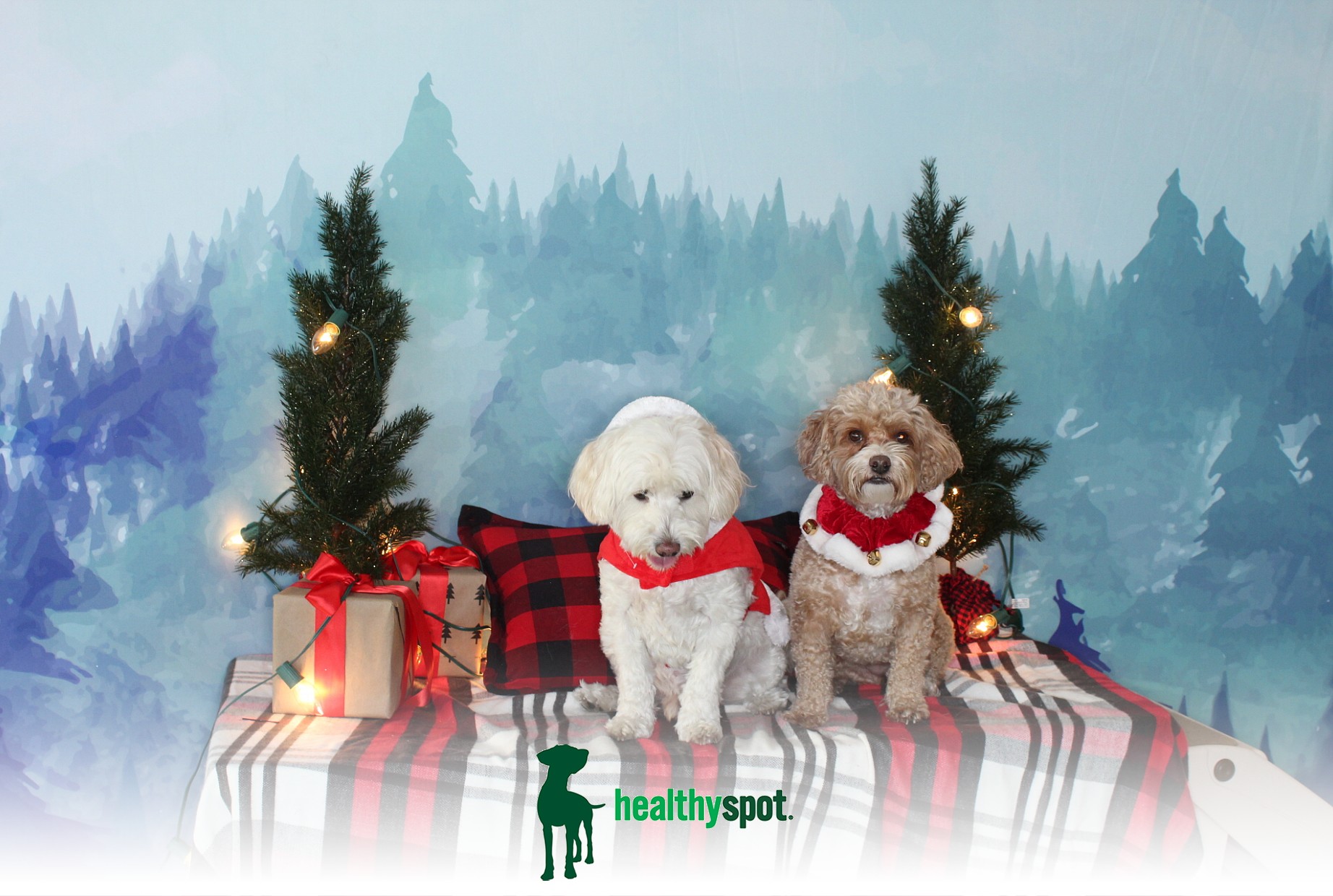 HEALTHY SPOT: HOWLIDAYS – BEVERLY GROVE