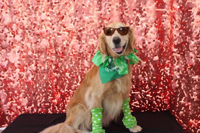 HEALTHY SPOT: PASADENA GRAND OPENING